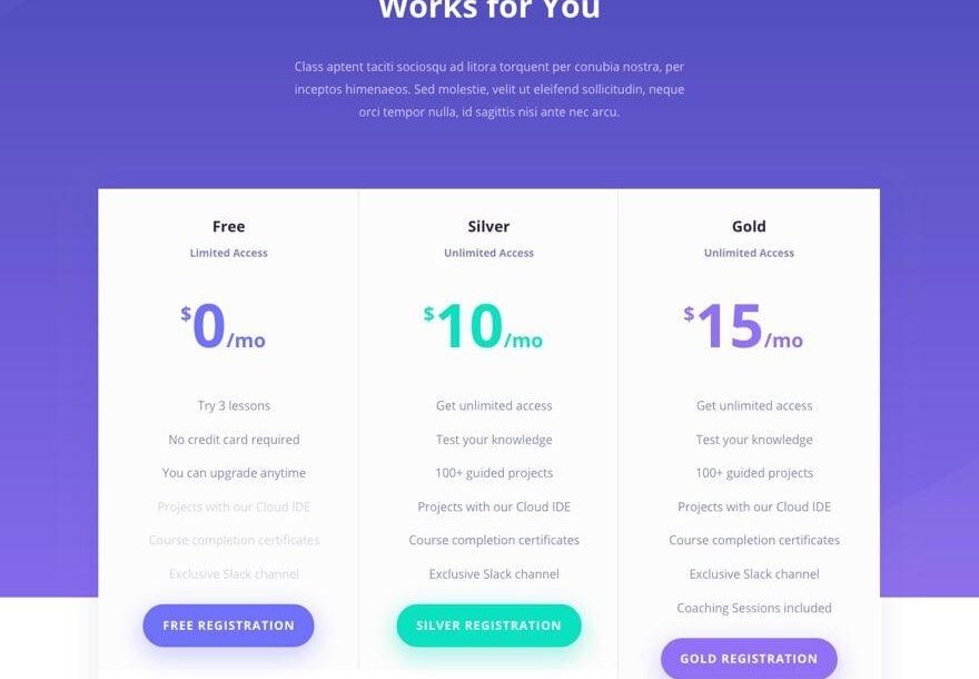 使用Divi创建在线学习管理 (LMS) 网站