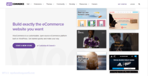 WooCommerce企业级电子商务需要了解的事情