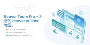 Beaver Team Pro for Beaver Builder Professional Beaver页面生成器团队版