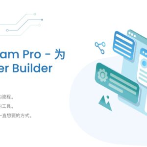 Beaver Team Pro for Beaver Builder Professional Beaver页面生成器团队版