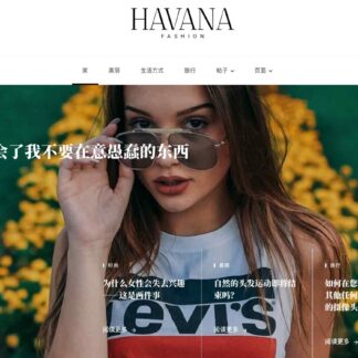 WordPress Ceris Magazine and Blog WordPress Theme 杂志和博客主题