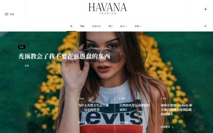 WordPress Ceris Magazine and Blog WordPress Theme 杂志和博客主题