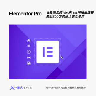 Elementor Pro | 前端网页生成器 可视化网页编辑器