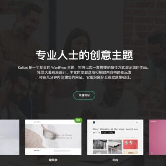 Kalium Theme 专家创新主题