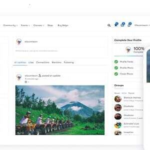 Reign BuddyPress WordPress社区主题