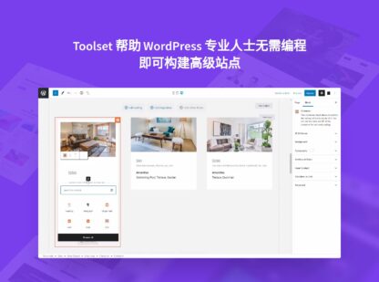 Toolset Types WordPress 自定义帖子类型、自定义字段和自定义分类