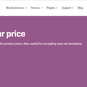 WooCommerce Name Your Price 电商产品客户定价