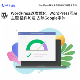 WordPress速度优化 | WordPress网站 主题 插件加速 去除Google字体