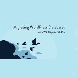 如何创建WordPress网站产品目录 7 WP Migrate DB Pro 最受专家信赖的WordPress 站点迁移插件