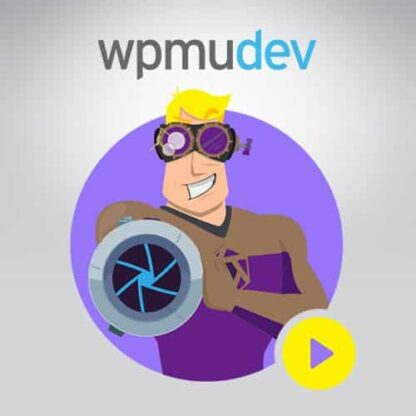 WPMU DEV Snapshot Pro 备份快照专业版