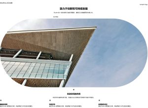 WordPress 2024主题实例镜像