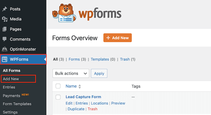 在 WordPress 中创建新表单 在 WordPress 中创建新表单